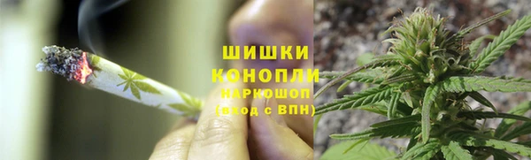ГАЛЛЮЦИНОГЕННЫЕ ГРИБЫ Куйбышев