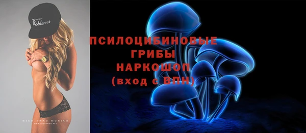 ГАЛЛЮЦИНОГЕННЫЕ ГРИБЫ Куйбышев