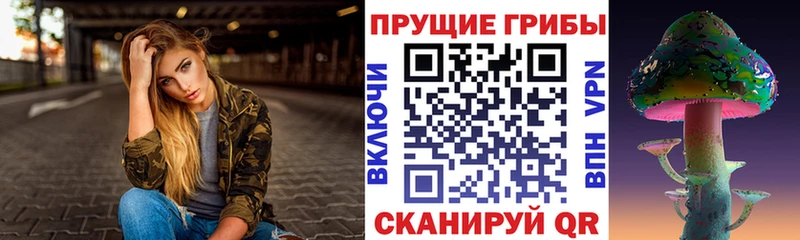 Галлюциногенные грибы GOLDEN TEACHER  где продают   Шахты 